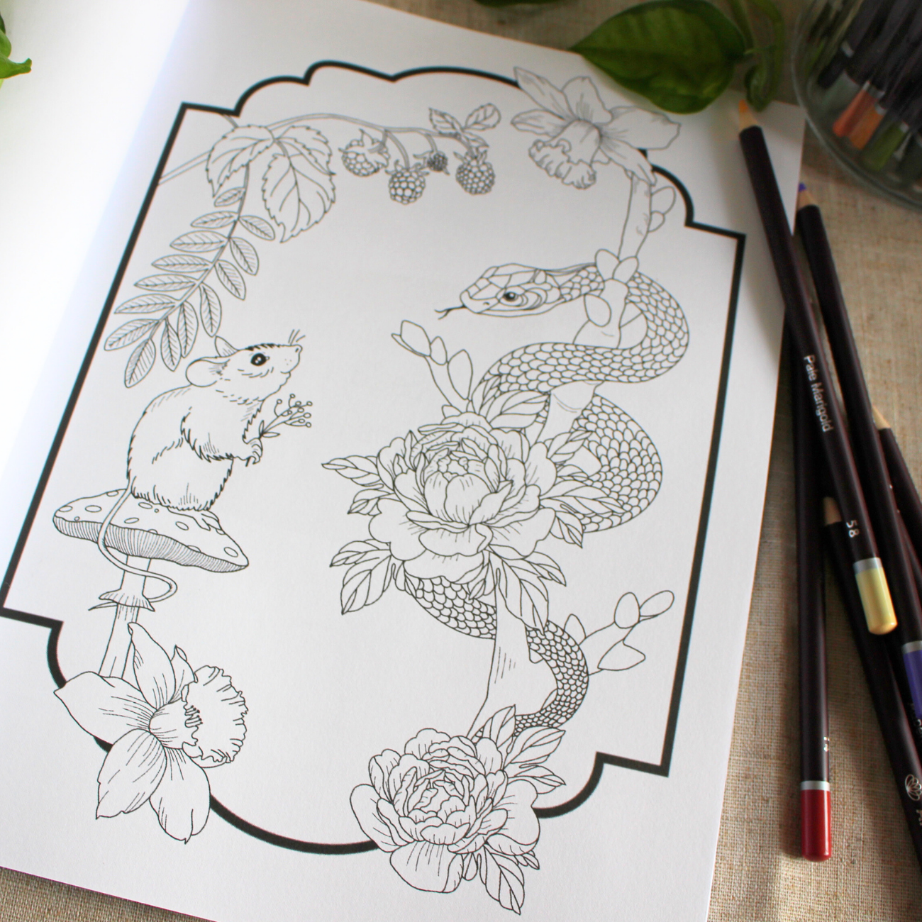 Anxiety Colouring Journal: Mystical Botanical