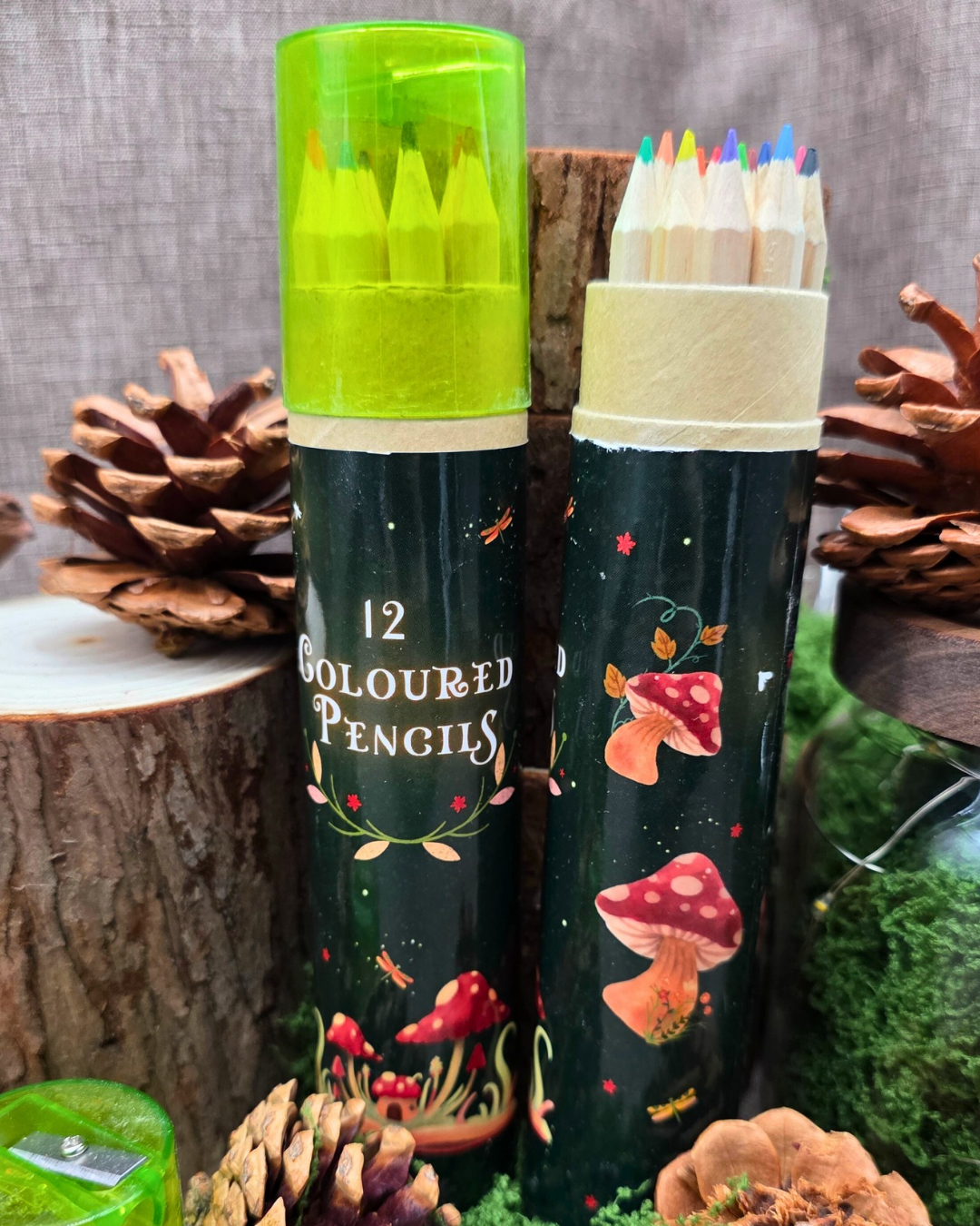 Set of 12 coloured pencils in a reusable illustrated tube featuring mushrooms and woodland artwork from the Luminous Hollow collection.