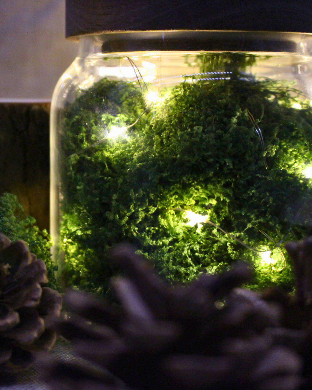Moss inside a glass jar with fairy lights a dark cozy background